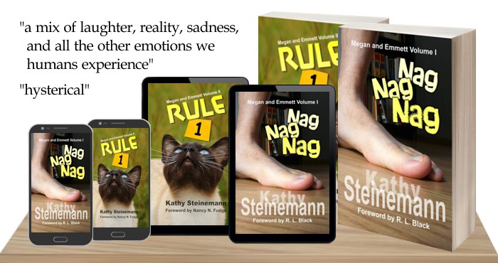 The Megan and Emmett Series by Kathy Steinemann