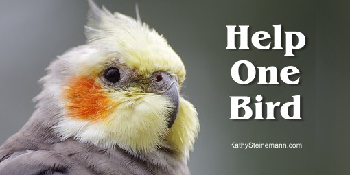 Help One Bird