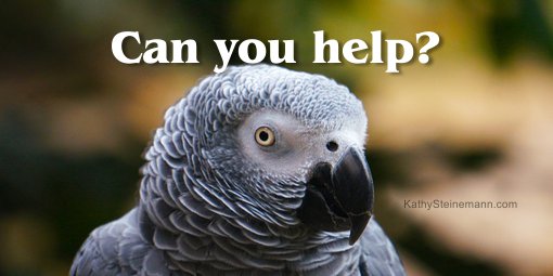 Can you help?