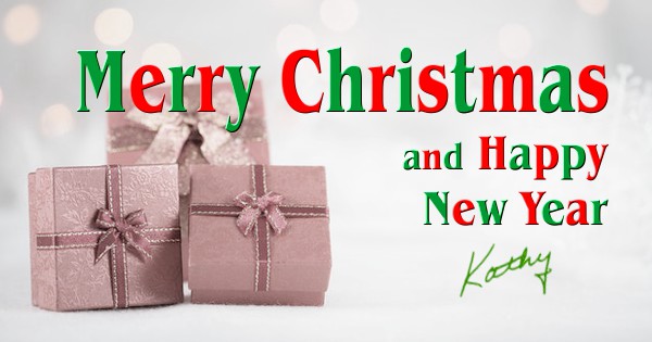 Merry Christmas and Happy New Year from Kathy Steinemann