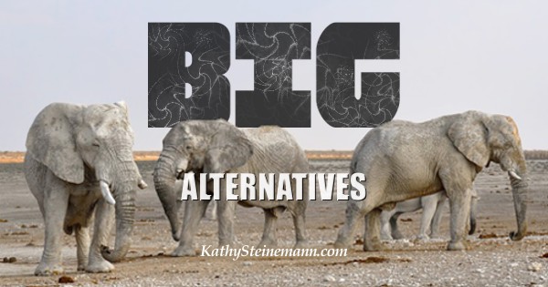BIG Alternatives