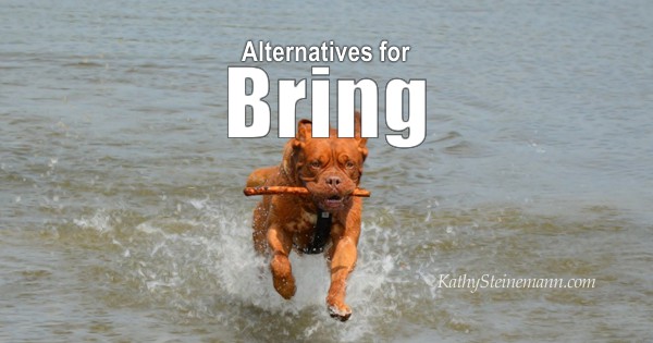 Alternatives for Bring