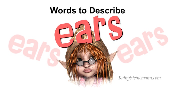 Words to Describe Ears