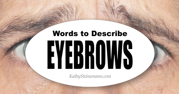 Words to Describe Eyebrows