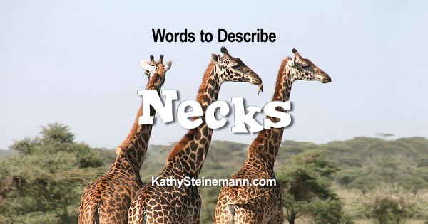 Words to Describe Necks