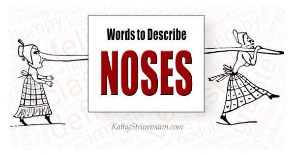 Words to Describe Noses