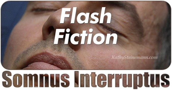 Flash Fiction: Somnus Interruptus