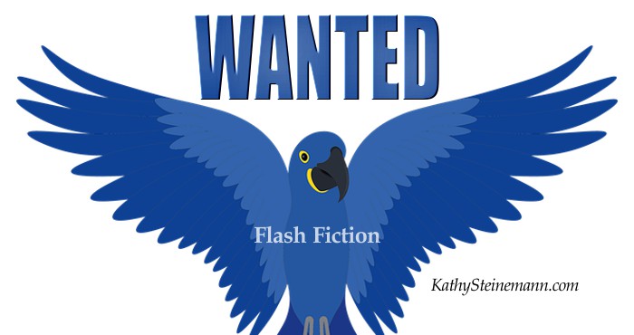 Wanted: Flash Fiction